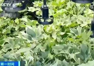工业机器人教育网